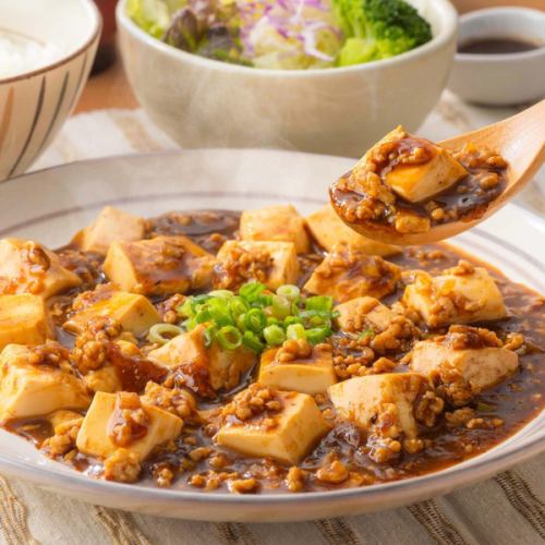 Spicy authentic mapo tofu