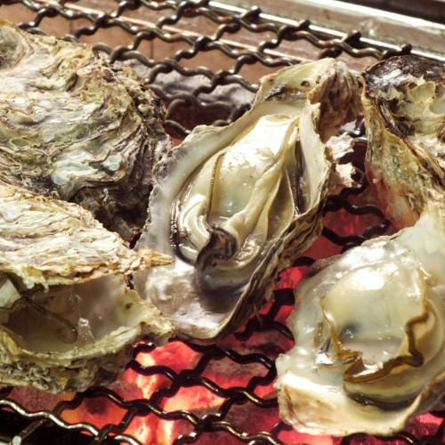 One grilled oyster (summer / one grain)