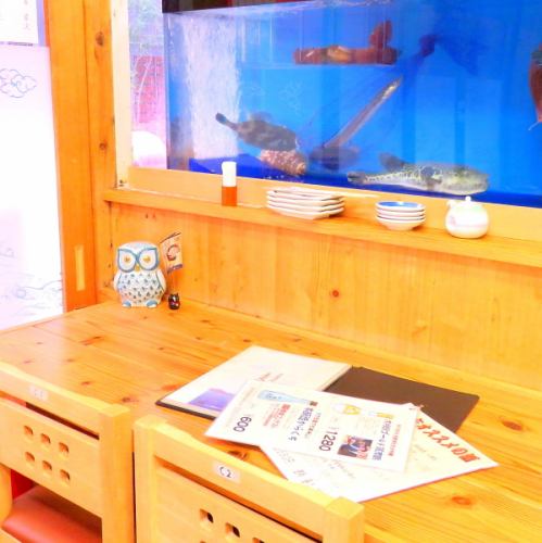 [1F: Counter] At Kiku Main Store, we are particular about the freshness of fish because we want our customers to enjoy fresh fish.A tank of fresh sake is right in front of you! Here's the secret of freshness!