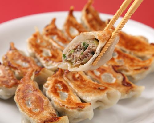 Grilled dumplings (6 pieces)