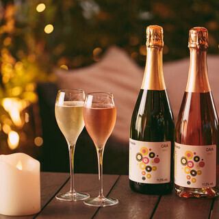 【2時間飲み放題】お料理は別途アラカルトで！「単品飲み放題スタンダード」