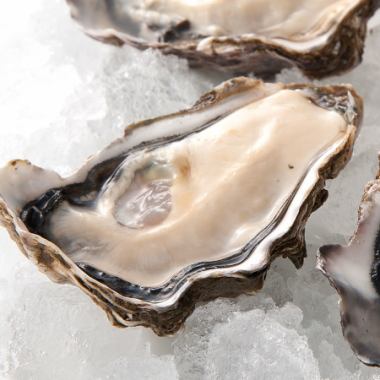 濃厚かつクリーミー！新鮮☆生牡蠣　1個