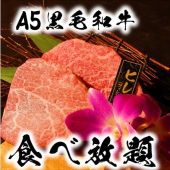 期間限定【特上ヒレ＆黒毛和牛】含む全40種　90分食べ放題コース　「極雅」kyokuga　￥9,450