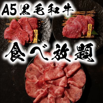 限時優惠：A5級黑毛、牛等30種，90分鐘無限量套餐「雅」4,950日圓