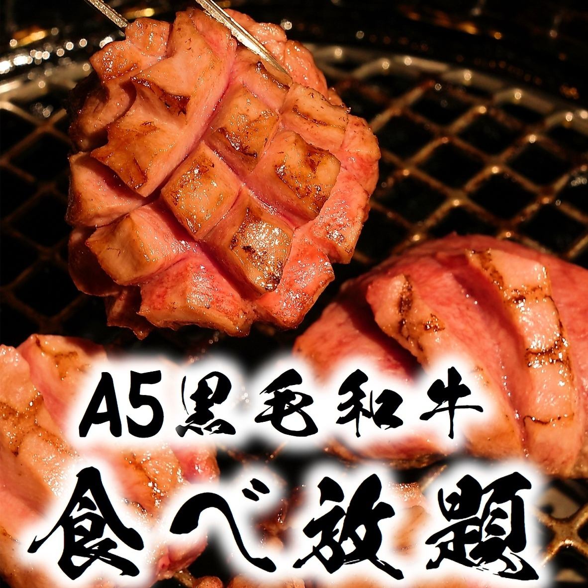 期間限定！A5黒毛和牛含む高級肉食べ放題コース4950円～ご用意！