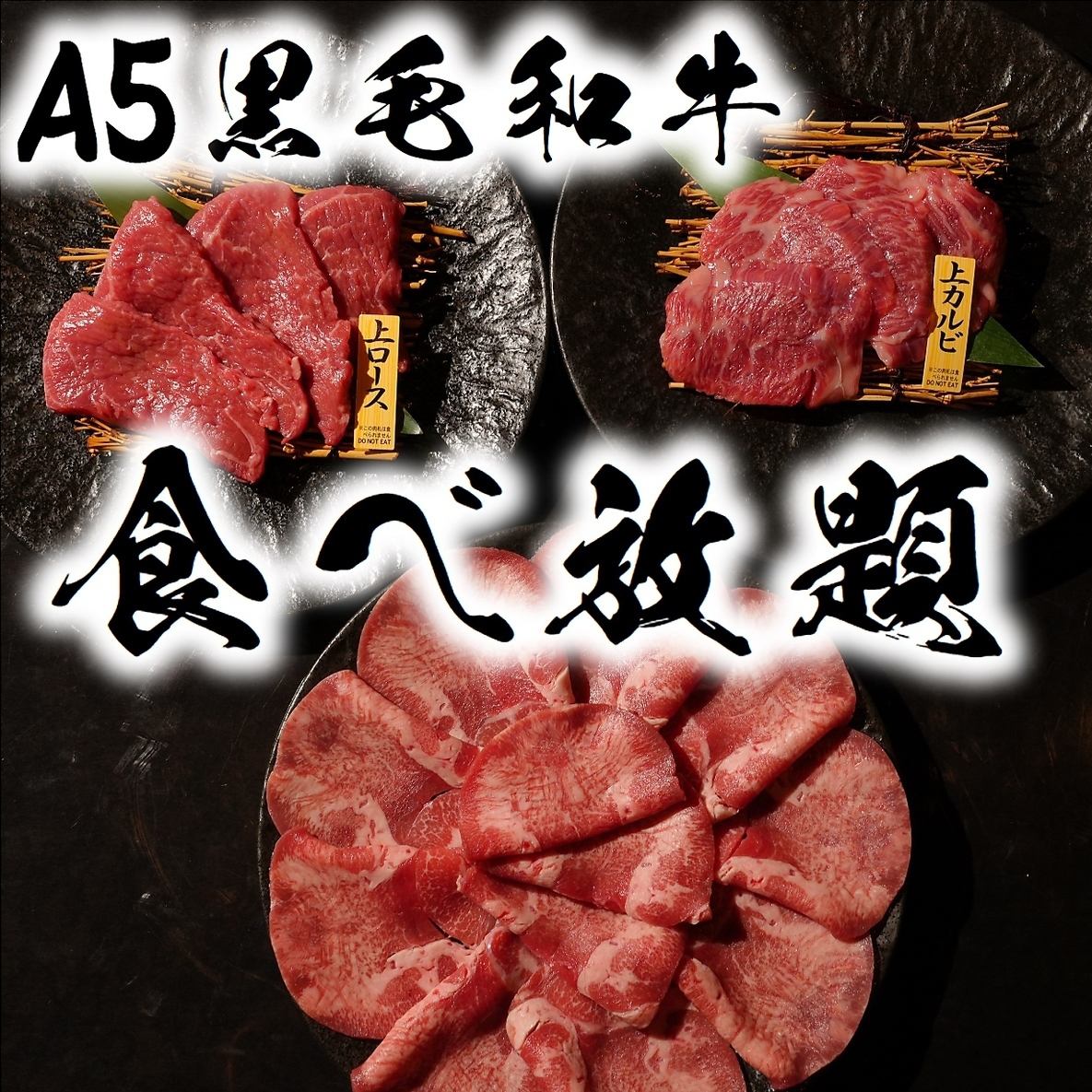 期間限定!A5黒毛和牛含む高級肉食べ放題コース4950円~ご用意!