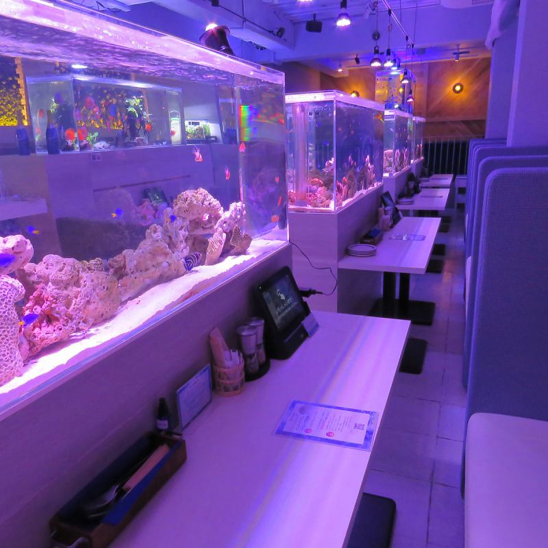 水槽　北九州市小倉南区 アクアリウムダイニング サカナノセカイ 小倉店【公式】