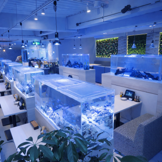 【全席水槽完備&ゆったりソファ席★】今夜はちょっぴり贅沢。熱帯魚たちに囲まれたオシャレ抜群の雰囲気で宴会やデートはいかがでしょうか。女子会はもちろんですが、会社宴会や会社帰りのちょい飲み・誕生日サプライズ等・・・様々なシーンにおすすめなので是非ご利用下さい。