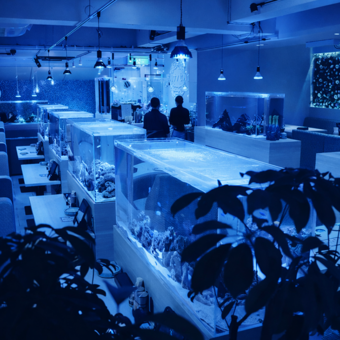 水槽　北九州市小倉南区 アクアリウムダイニング サカナノセカイ 小倉店【公式】