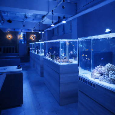 左側には淡水魚、右側には海水魚♪水槽に挟まれた人気のお席です！