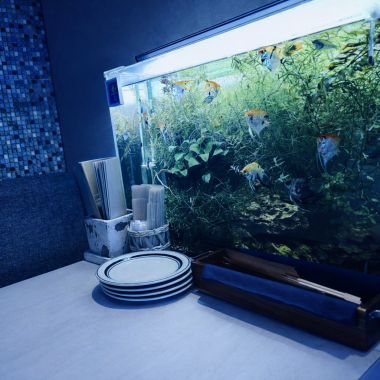 可愛いお魚を見ながらゆっくりと食事を楽しめます！アクアリウムにはリラクゼーション効果があることも医学的に実証されてますよ！