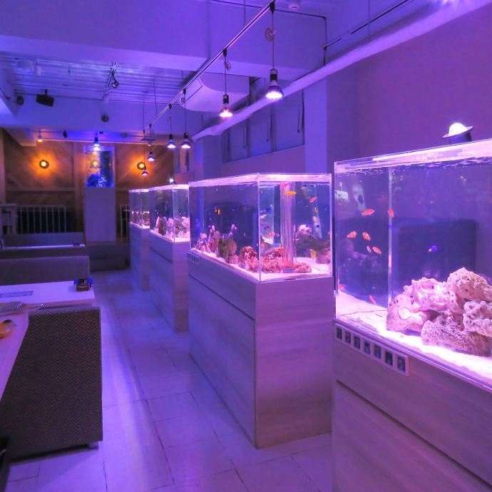 水槽　北九州市小倉南区 アクアリウムダイニング サカナノセカイ 小倉店【公式】