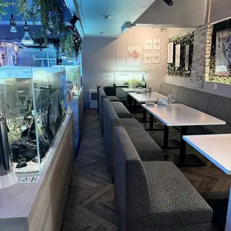[All seats equipped with aquariums & comfortable sofa seating★] Let's be a little luxurious tonight.How about a party or a date in a stylish atmosphere surrounded by tropical fish?It's perfect for girls' nights out, but also great for company parties, after-work drinks, birthday surprises, and many other occasions, so please feel free to use our services.