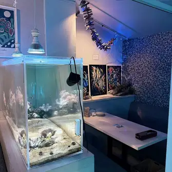 Our seats with a giant aquarium offer a private and unique atmosphere! We have many seats to suit any occasion! Due to its popularity, please make your reservation early! Perfect for girls' nights out, after-parties, parties, and more!
