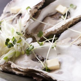 Hiroshima oysters raised in Setouchi
