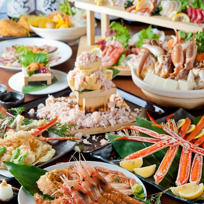 【現在是北海道祭★】馬刺身、鮮魚刺身拼盤等8道菜6000日元