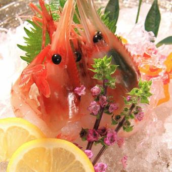 本ぼたんえび　1尾