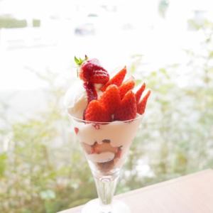 딸기 화이트 초콜릿 파르페