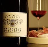 Red slightly sparkling wine "Lambrusco" Di Solvala (dry)