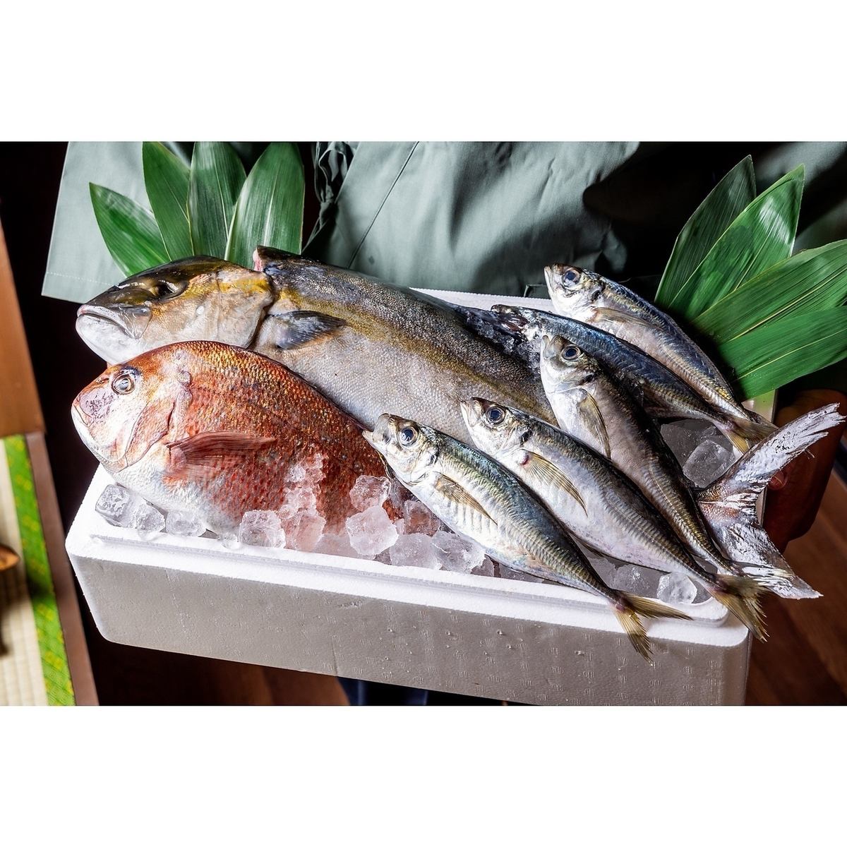 조건 식재료 해물류가 맛있는 가게