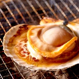 scallop soy sauce butter