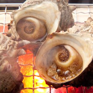 Grilled turban shell