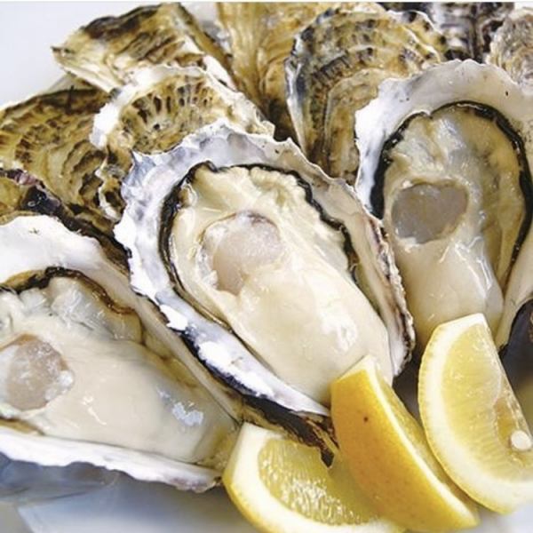 Highly nutritious ★ Directly delivered from Akkeshi fishing port in Hokkaido! Brand oysters at a reasonable price!