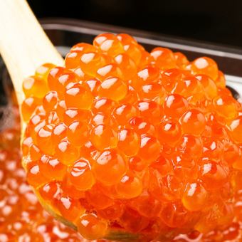 [受欢迎的寿司店认可的口味]北海道最好的鲑鱼子碎