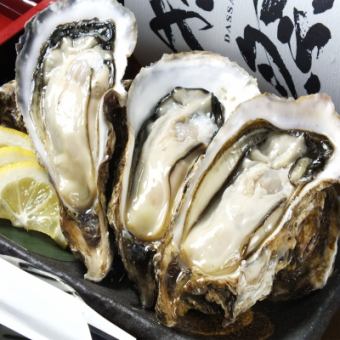 Direct delivery from Akkeshi! Brand oyster (1 piece)