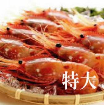 Rich miso... extra-large botan shrimp