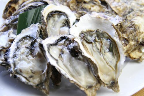 [Fresh and safe] Akkeshi oysters