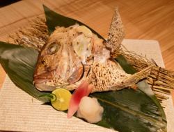 【明石】タイカマ