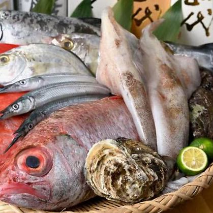 旬の鮮魚をお刺身や一品料理でご提供。