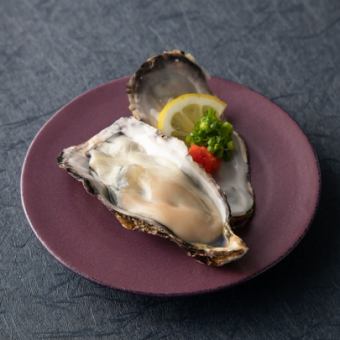 本日の生牡蠣　1個