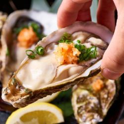 Raw oysters