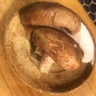 肉厚しいたけ