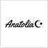 トルコレストラン ワインBar Anatolia 上野店