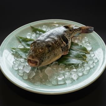 【特上】天然のふぐコース17000円