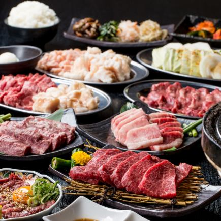 【誕生日やお祝いの席に】腕を振るった厳選お肉でご堪能　全10品　『極上』宴会コース