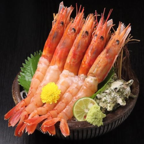 天然海老の刺身