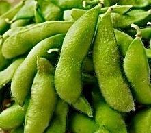 塩茹で枝豆