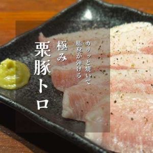 Ultimate Chestnut Fatty Pork