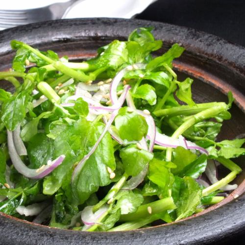 クレソンナムル