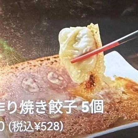 手作り焼き餃子