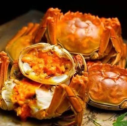 【期間限定！】楊家将上海蟹コース　紹興酒３種飲み放題付◎