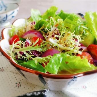 野菜サラダ