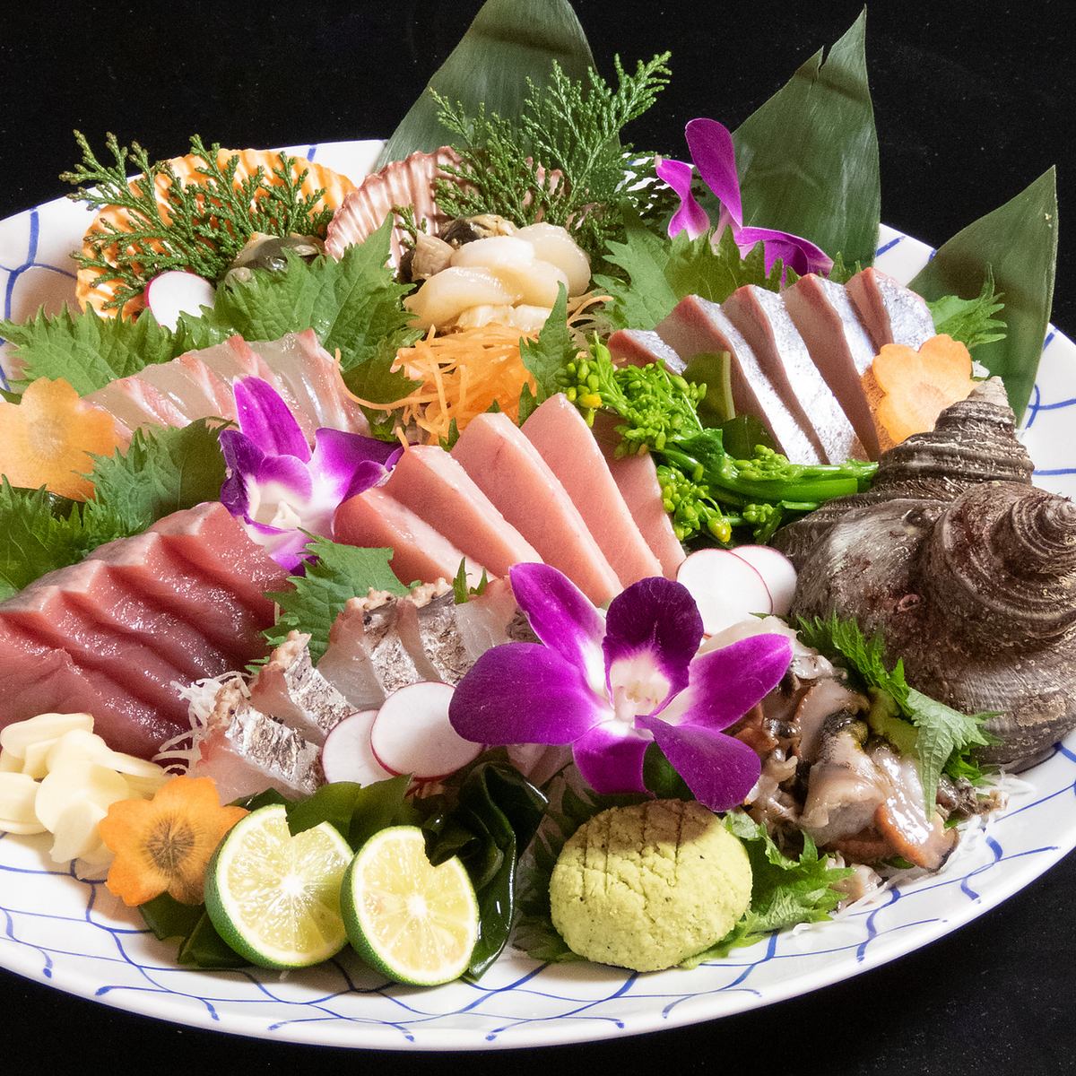 追手筋沿い【居酒屋魁】高知獲れ鮮魚を堪能♪旬の食材を使用した日替りメニュー豊富