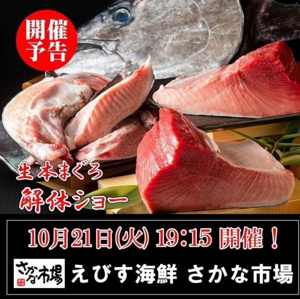 迫力満点！10/21(火)19:15～スタート・まぐろ解体ショー！