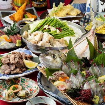 冬宴会【椿(つばき)】活〆旬魚造りやもつ鍋、ふぐ唐揚げや牛タン葱塩焼き等《120分飲み放題付》