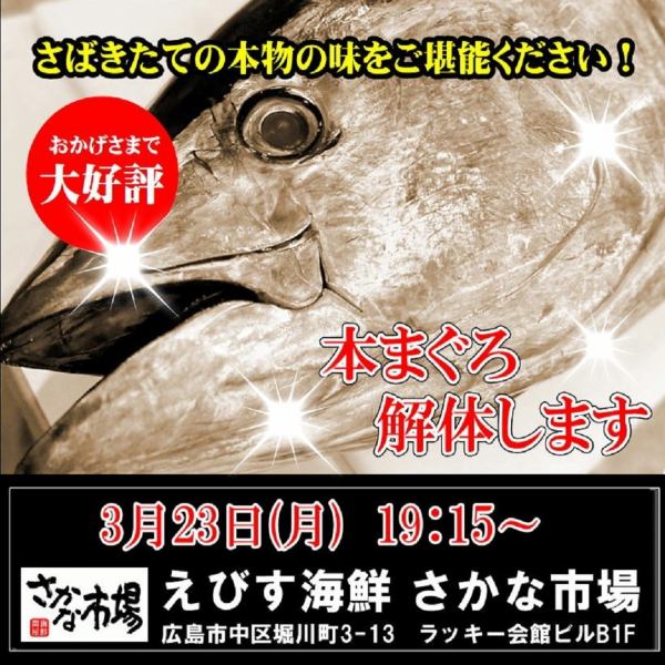 迫力満点！3/23(月)19:15～スタート・まぐろ解体ショー！